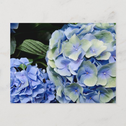 米国，アラバマ，テオドール近郊2 ポストカード (正面)