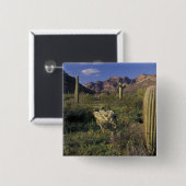 米国、アリゾナ州、オルガンパイプ国立記念物。 缶バッジ (正面&裏面)