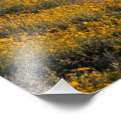 米国，アリゾナ，オルガンパイプサボテン国立2 フォトプリント            (角)