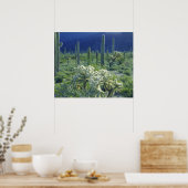 米国、アリゾナ、オルガンパイプサボテン州 ポスター (キッチン)