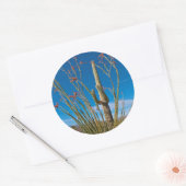 米国、アリゾナ。サグアーロ国立公園のサボテン ラウンドシール (封筒)