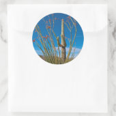 米国、アリゾナ。サグアーロ国立公園のサボテン ラウンドシール (バッグ)