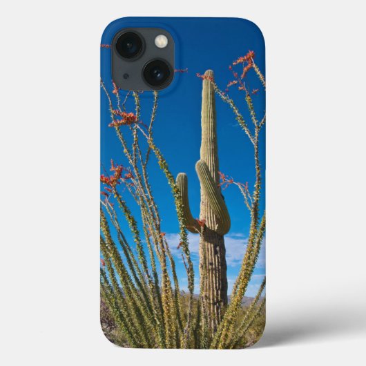米国、アリゾナ。サグアーロ国立公園のサボテン Case-Mate iPhoneケース (裏面)
