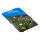 米国、アリゾナ。ザヒルズのサボテン マグネット (右側)