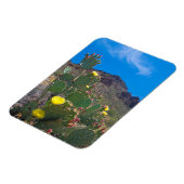 米国、アリゾナ。ザヒルズのサボテン マグネット (左側)