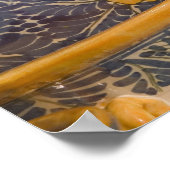 米国、アリゾナ、チューバック：南アリゾナ州のプレミア2 ポスター (角)