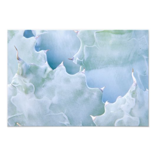 米国、アリゾナ、ツーソン、ソノラ砂漠2 フォトプリント            (正面)