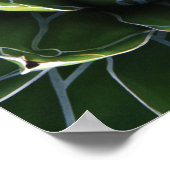 米国、アリゾナ、ツーソン、ソノラ砂漠 ポスター (角)