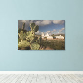 米国，アリゾナ，ツーソン：ミッションSan Xavier del Bac 2 キャンバスプリント (インサイチュ (ウッドフロア))