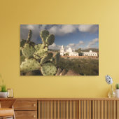 米国，アリゾナ，ツーソン：ミッションSan Xavier del Bac 2 キャンバスプリント (インサイチュ (リビング))