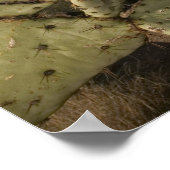 米国，アリゾナ，ツーソン：ミッションSan Xavier del Bac 2 ポスター (角)