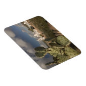 米国，アリゾナ，ツーソン：ミッションSan Xavier del Bac 2 マグネット (右側)