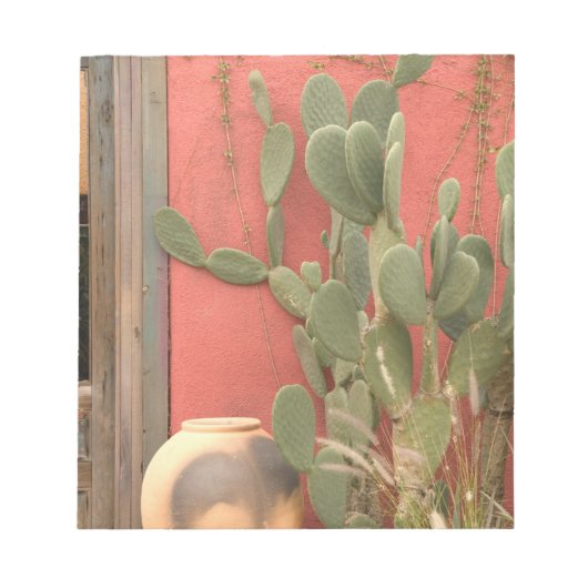 米国，アリゾナ，ツーソン： Presiddio Historic District 2 ノートパッド (正面)