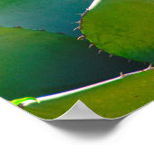 米国、アリゾナ。多肉植物のクローズアップ ポスター (角)