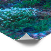 米国、アリゾナ。砂漠フローラ ポスター (角)