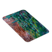 米国、アリゾナ。砂漠フローラ マグネット (右側)