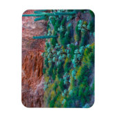 米国、アリゾナ。砂漠フローラ マグネット (縦)