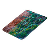 米国、アリゾナ。砂漠フローラ マグネット (左側)