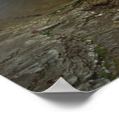 米国、アーカンソー州、オザーク州 – 聖フランシス・ナショナル ポスター (角)