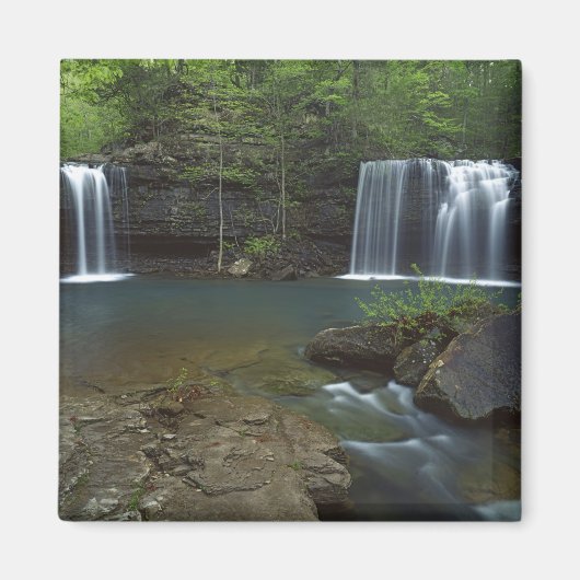 米国、アーカンソー州、オザーク州 – 聖フランシス・ナショナル マグネット (正面)