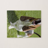 米国、イリノイ、ワシントン、バセットポートレート ジグソーパズル (横)