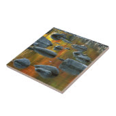 米国、ウェストバージニア、スプルースノブ-セネカロックス3 タイル (側面)