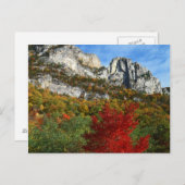 米国、ウェストバージニア、スプルースノブ-セネカロックス ポストカード (正面/裏面)