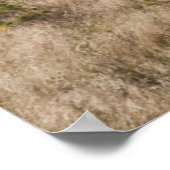 米国、オクラホマ州、ブラックケトル国家草原 ポスター (角)