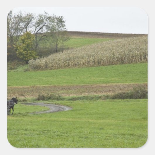 米国、オハイオ北東部。アミッシュ乳母車オンファーム スクエアシール (正面)