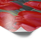 米国、オハイオ、シンシナチ。赤いチューリップ層 フォトプリント            (角)