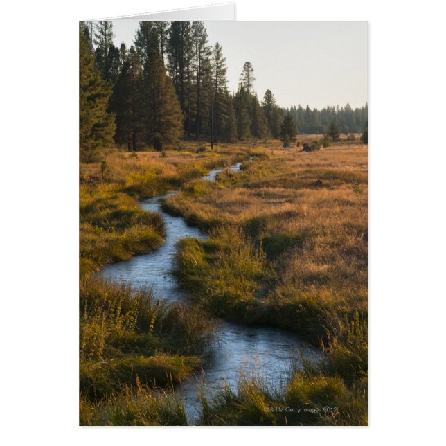 米国、オレゴンのポーリーナの入り江 (正面)