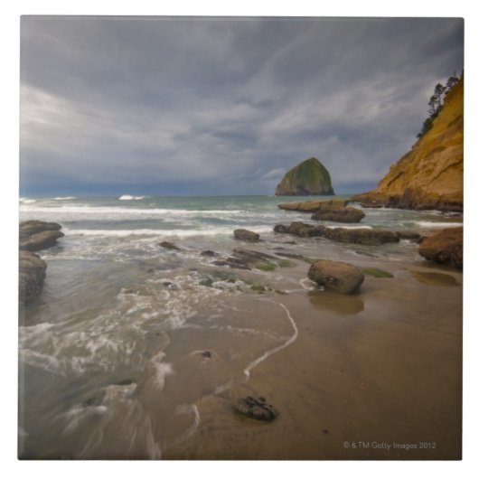 米国、オレゴンのTillmook郡、ビーチとの タイル (正面)