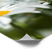 米国、オレゴン、ウィラメットバレー、選択的 ポスター (角)