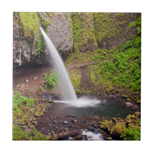 米国、オレゴン、コロンビアリバー峡谷4 タイル (正面)