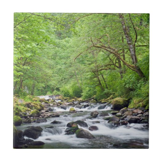 米国、オレゴン、コロンビアリバー峡谷、タナークリーク4 タイル (正面)