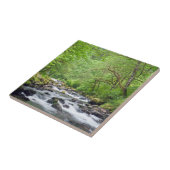 米国、オレゴン、コロンビアリバー峡谷、タナークリーク4 タイル (側面)