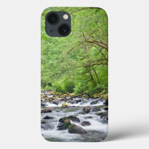 米国、オレゴン、コロンビアリバー峡谷、タナークリーク4 iPhone 13ケース