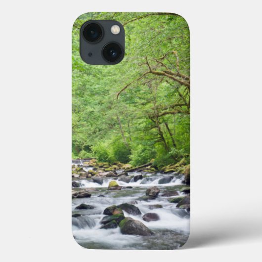 米国、オレゴン、コロンビアリバー峡谷、タナークリーク4 Case-Mate iPhoneケース (裏面)