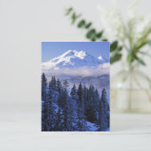 米国、オレゴン、デシュテス国有林、南 ポストカード (スタンド正面)