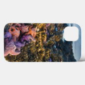米国、オレゴン。 ヒトデおよび海星 Case-Mate iPhoneケース (裏面 (横))