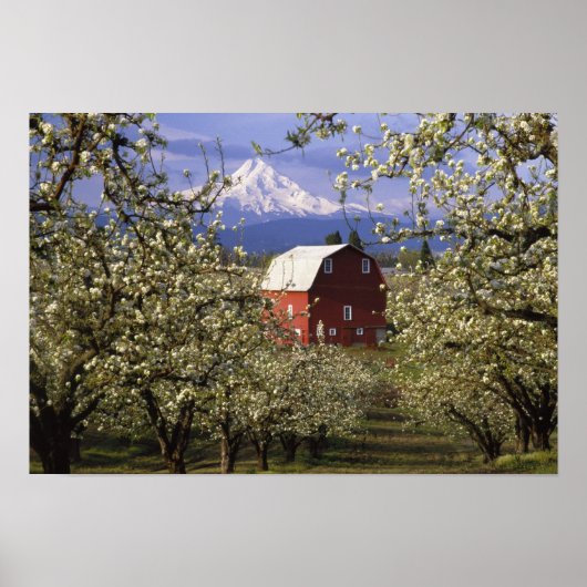 米国、オレゴン、フードリバー郡。レッド ポスター (正面)