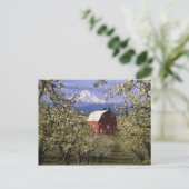 米国、オレゴン、フードリバー郡。レッド ポストカード (スタンド正面)