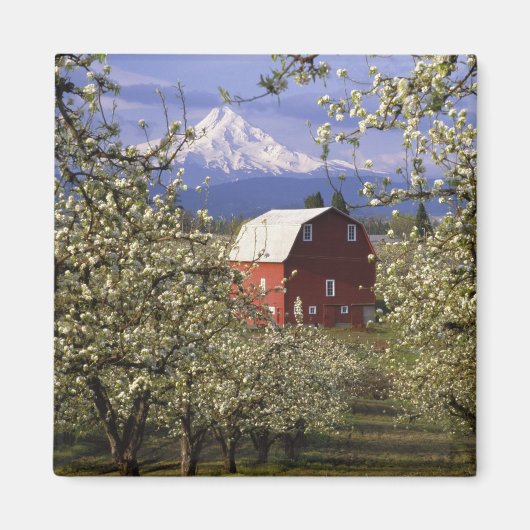 米国、オレゴン、フードリバー郡。レッド マグネット (正面)