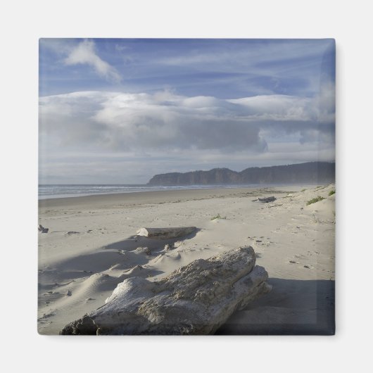 米国、オレゴン、砂丘と海、太平洋都市 マグネット (正面)