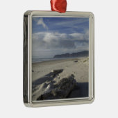 米国、オレゴン、砂丘と海、太平洋都市 メタルオーナメント (右)