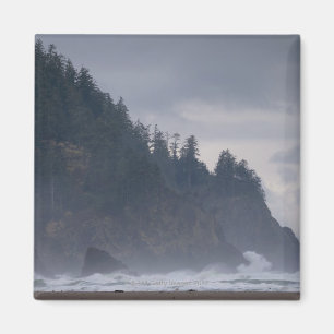 米国、オレゴン、Tillamook郡の海岸の森林 マグネット