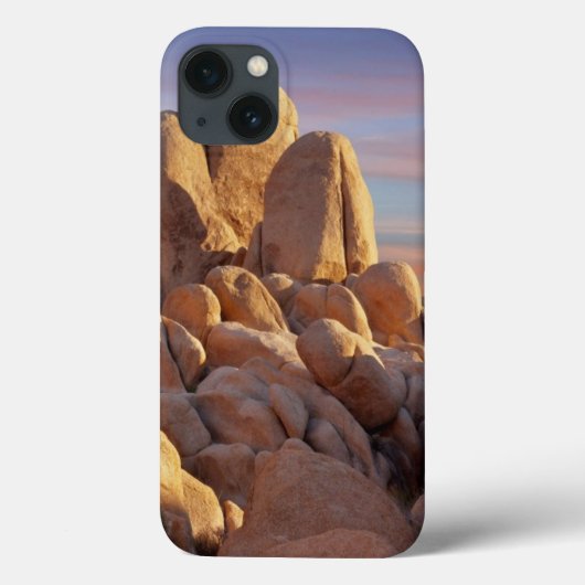 米国、カリフォルニアのジョシュアツリーの国立公園 Case-Mate iPhoneケース (裏面)