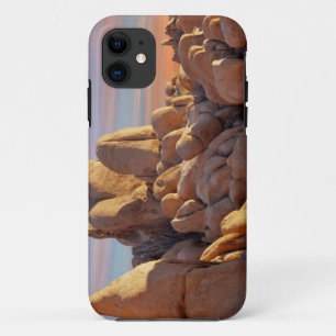 米国、カリフォルニアのジョシュアツリーの国立公園 iPhone 11 ケース