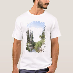 米国、カリフォルニアのソノラのパス、景色との Tシャツ
