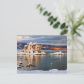 米国、カリフォルニアのモノラル湖の日の出 ポストカード (スタンド正面)